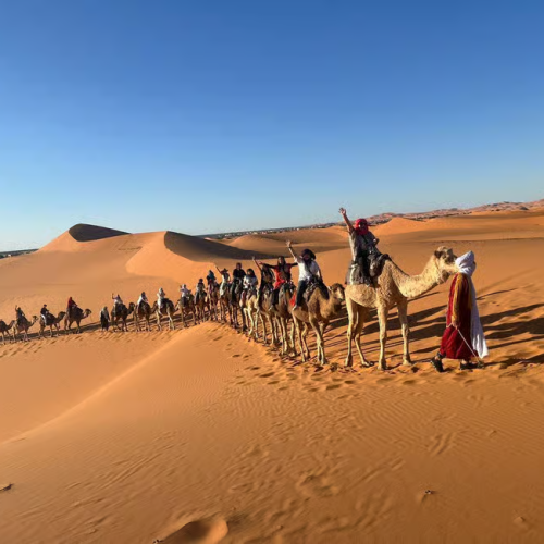 Excursions - Menara Concierge