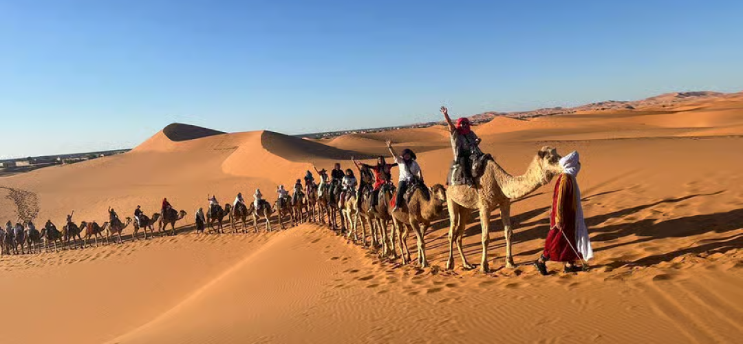 Excursions - Menara Concierge